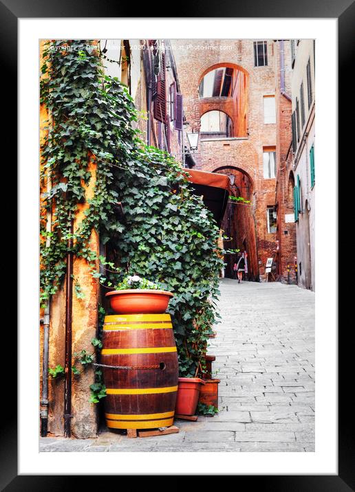 Siena Street Italy Framed Mounted Print by Diana Mower