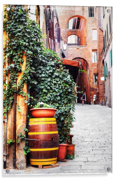 Siena Street Italy Acrylic by Diana Mower