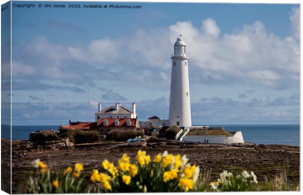 Springtime at St Mary's Island Canvas Print by Jim Jones