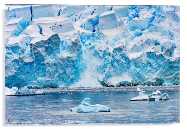 Icebergs Snow Glaciers Charlotte Bay Antarctica Acrylic by William Perry