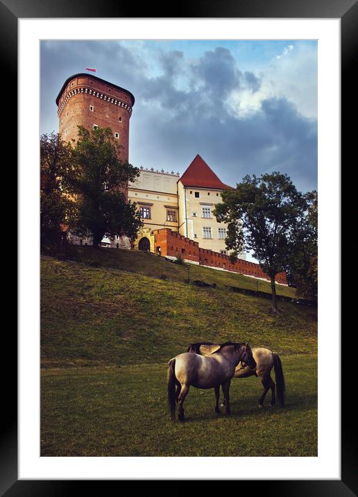 Krakow, Poland - August 18, 2015: Two identical ho Framed Mounted Print by Arpan Bhatia