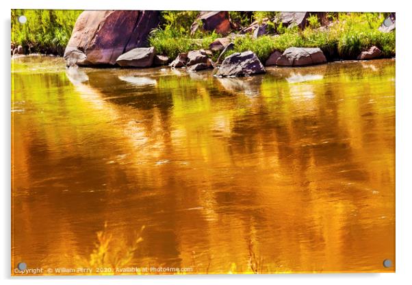 Gold Yellow Reflection Abstract Colorado River Uta Acrylic by William Perry