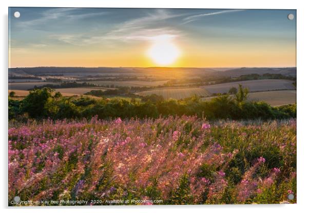 Sunset over Butser Hill, South Downs Acrylic by KB Photo