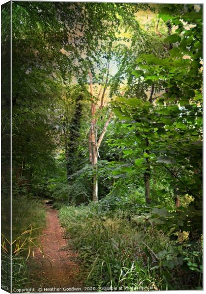 Small Paths Canvas Print by Heather Goodwin