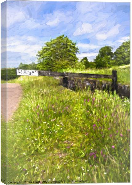 Lock In A Meadow Digital Art Canvas Print by Ian Lewis