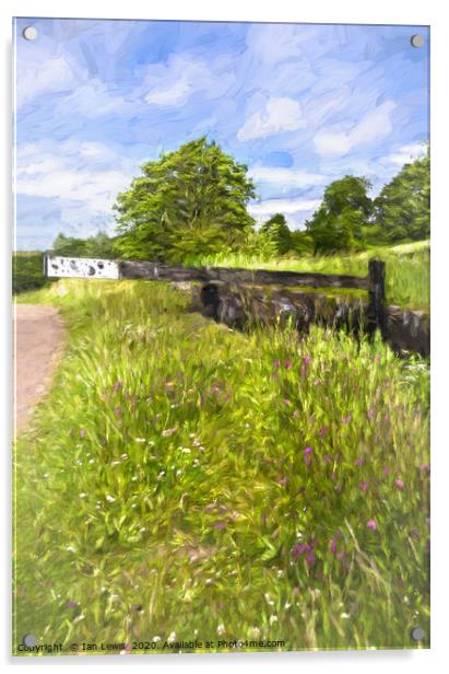 Lock In A Meadow Digital Art Acrylic by Ian Lewis