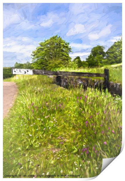 Lock In A Meadow Digital Art Print by Ian Lewis
