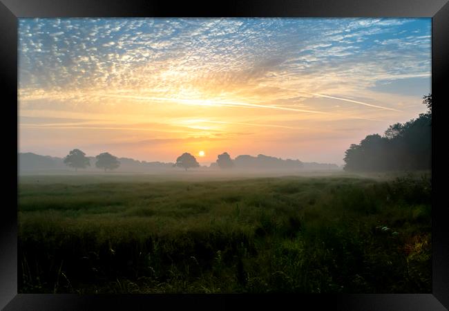 Glorious Morning Framed Print by Dave Williams