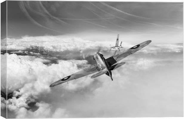 Hawker Hurricane deflection shot, B&W version Canvas Print by Gary Eason