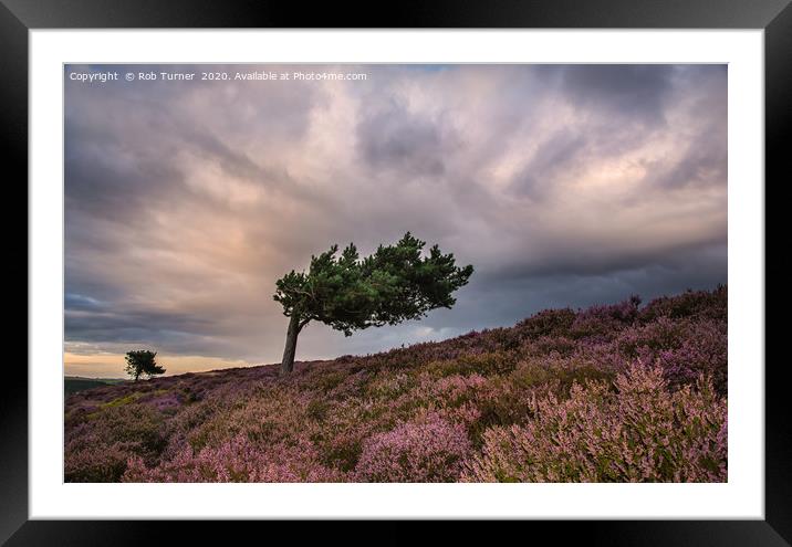 Summer Evening in the Peak District. Framed Mounted Print by Rob Turner