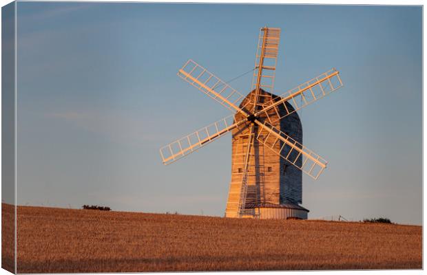 Windmill in Evening Light Canvas Print by Wendy Williams CPAGB
