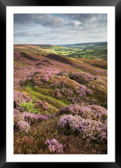 Farndale, North York Moors Framed Mounted Print by Martin Williams
