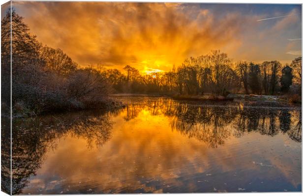 Sky Fire Canvas Print by Dave Williams