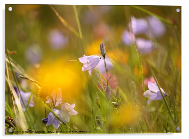 Meadow flowers Acrylic by Simon Johnson