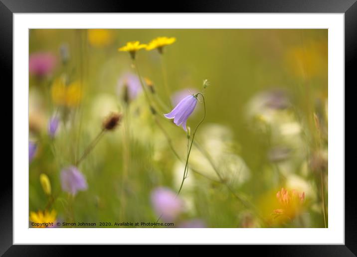 Meadow flowers Cotswolds Framed Mounted Print by Simon Johnson
