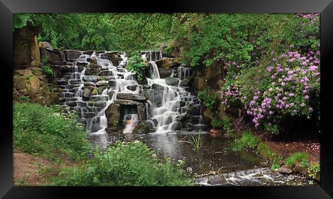 Cascading Water Framed Print by Dave Williams