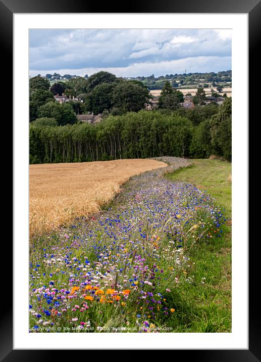Wild Flowers surrounding a field of Barley Framed Mounted Print by Joy Newbould