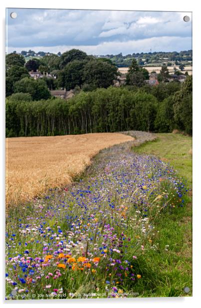 Wild Flowers surrounding a field of Barley Acrylic by Joy Newbould