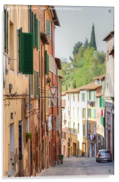 Siena Back Street Italy Acrylic by Diana Mower