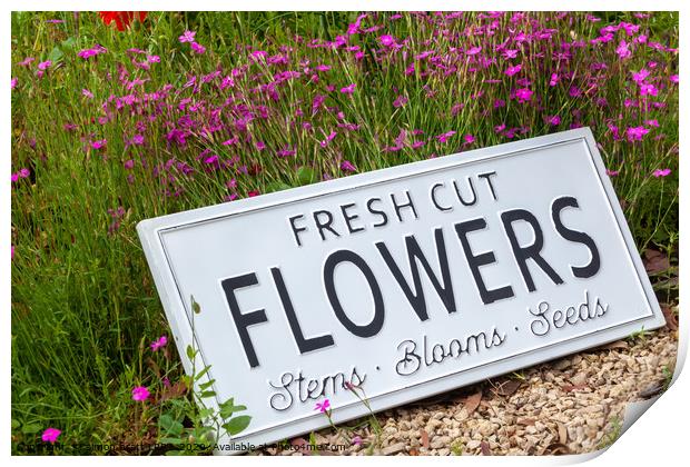 Garden flowers with fresh cut flower sign 0737 Print by Simon Bratt LRPS