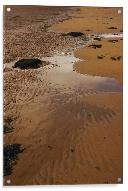 Beach Patterns Acrylic by Jacqi Elmslie