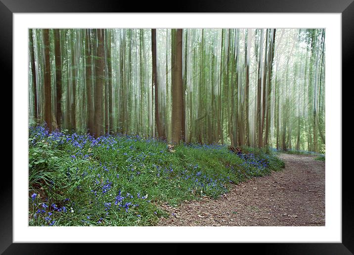 Bluebells in the Wind Framed Mounted Print by Alice Gosling