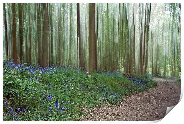 Bluebells in the Wind Print by Alice Gosling
