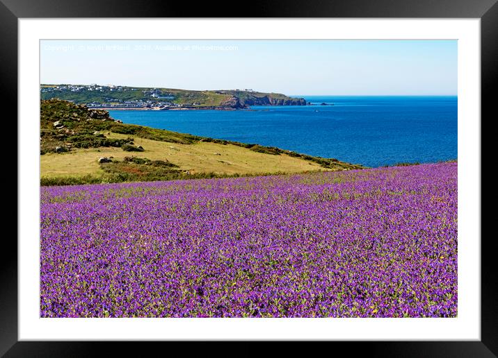 wild flowers in cornwall Framed Mounted Print by Kevin Britland