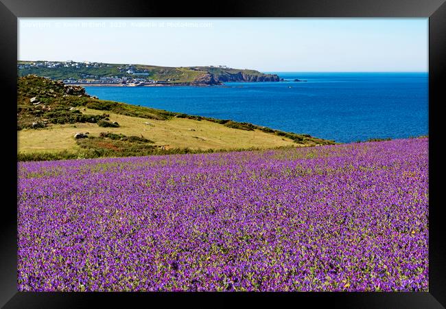 wild flowers in cornwall Framed Print by Kevin Britland