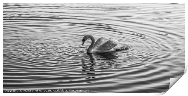 Swan Lake Print by Richard Perks