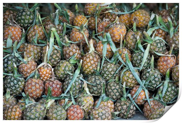 THAILAND CHIANG RAI MARKET FRUITS PINEAPLE Print by urs flueeler