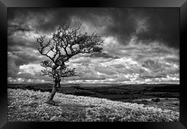 Dark Clouds over Combestone Tor                    Framed Print by Darren Galpin