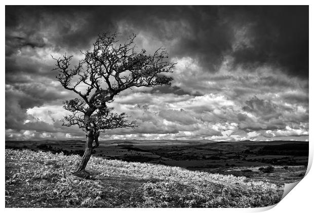 Dark Clouds over Combestone Tor                    Print by Darren Galpin