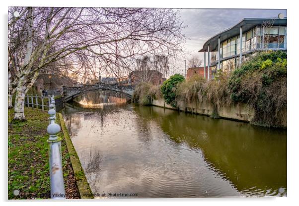 Walk along along the River Wensum, Norwich Acrylic by Chris Yaxley