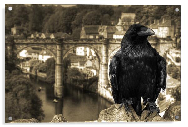 The Raven of Knaresborough Castle Acrylic by Rob Hawkins