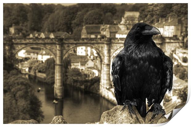 The Raven of Knaresborough Castle Print by Rob Hawkins