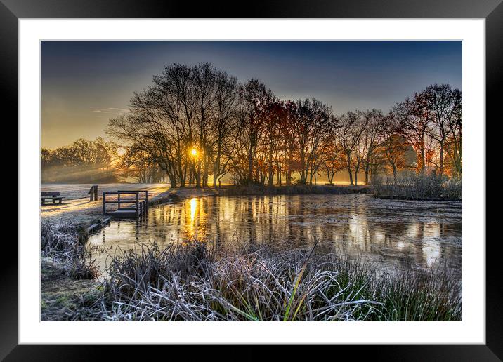 Winter Sunrise at Yateley Green Pond Framed Mounted Print by Dave Williams