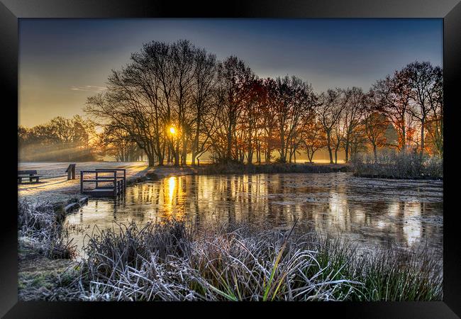 Winter Sunrise at Yateley Green Pond Framed Print by Dave Williams