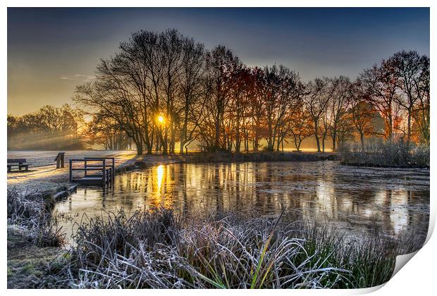 Winter Sunrise at Yateley Green Pond Print by Dave Williams