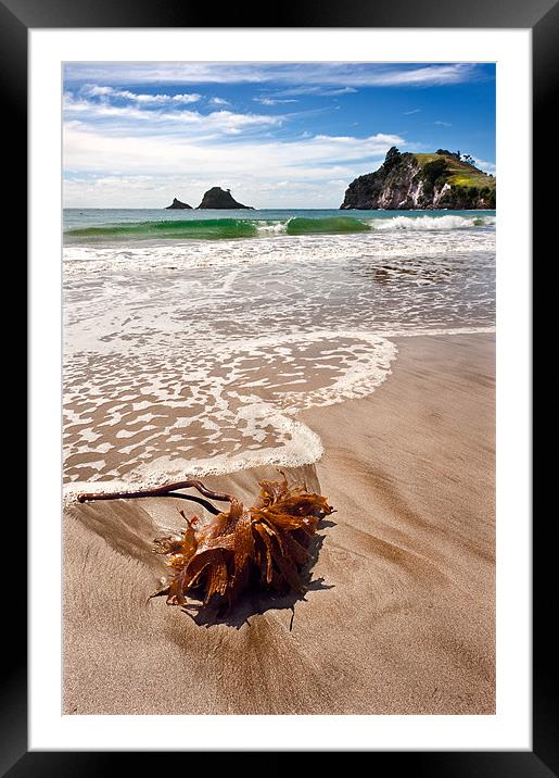 Seaweed on a seashore Framed Mounted Print by Stephen Mole