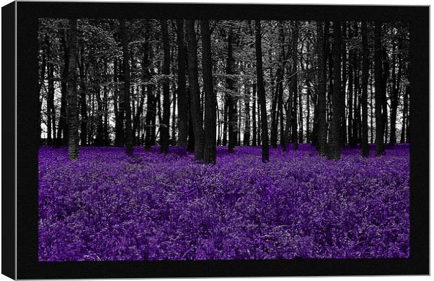 Bluebells Mosaic Canvas Print by Elaine Young