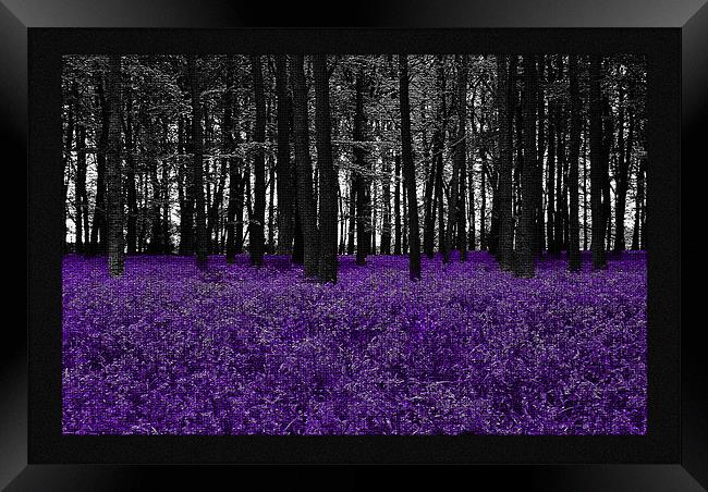 Bluebells Mosaic Framed Print by Elaine Young