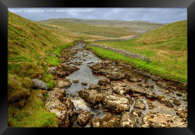 River Twiss Ingleton Yorkshire Framed Print by Diana Mower
