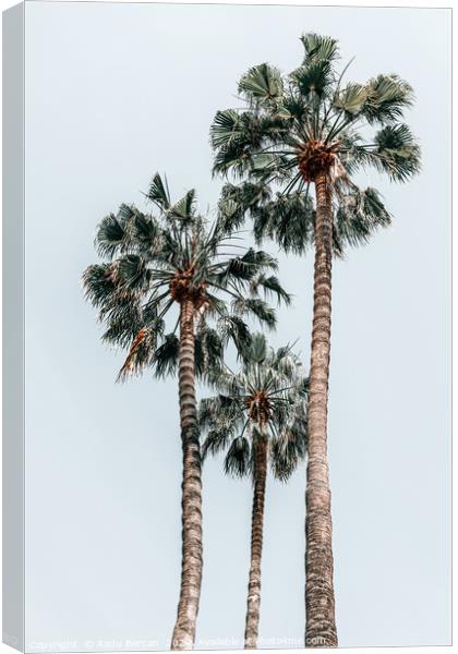 Palm Trees, Miami Summer Vibes, Minimalist Art Canvas Print by Radu Bercan