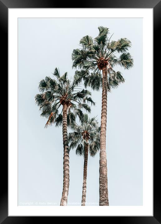 Palm Trees, Miami Summer Vibes, Minimalist Art Framed Mounted Print by Radu Bercan