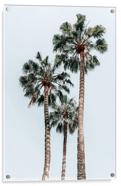 Palm Trees, Miami Summer Vibes, Minimalist Art Acrylic by Radu Bercan