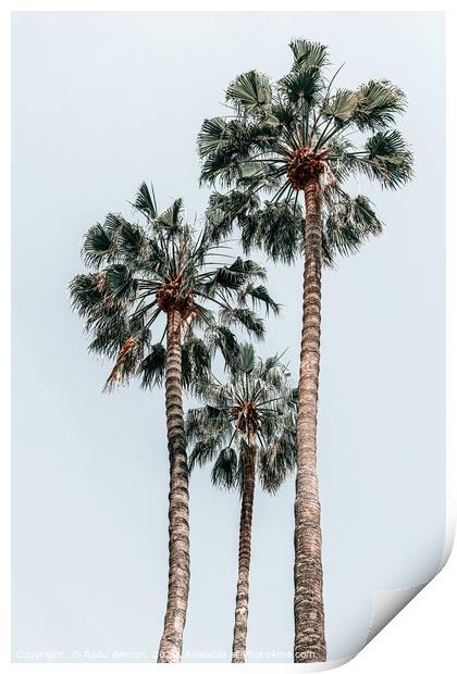 Palm Trees, Miami Summer Vibes, Minimalist Art Print by Radu Bercan