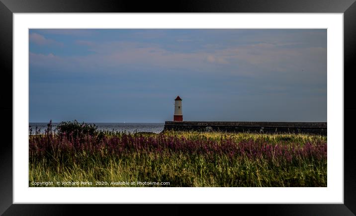 Berwick Lighthouse in bloom Framed Mounted Print by Richard Perks