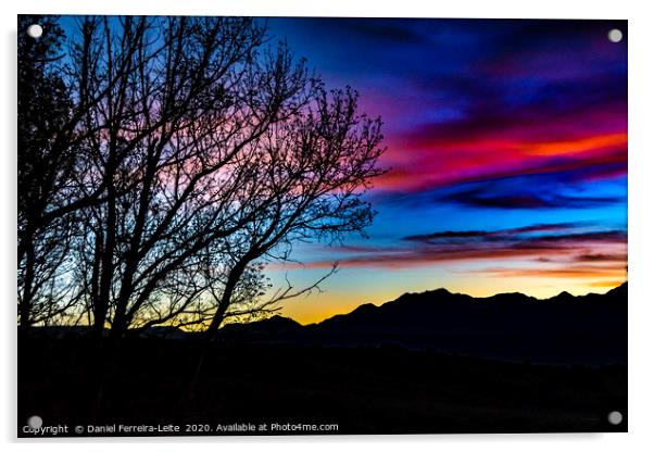 Sunset Landscape Scene, San Juan Province, Argenti Acrylic by Daniel Ferreira-Leite