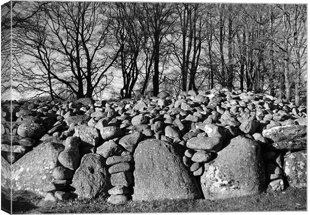 The Ancient Stones of Clava Canvas Print by Jacqi Elmslie